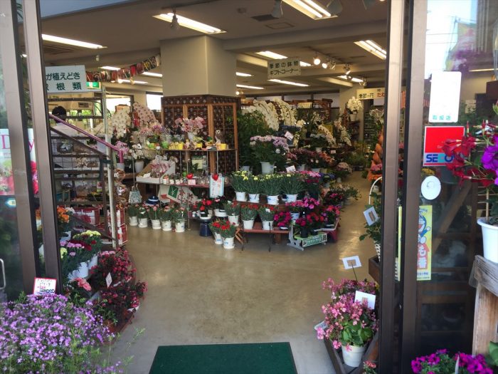 豊富な花々が見えるお店の中