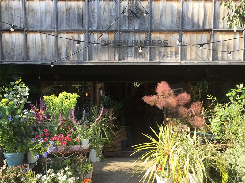三軒茶屋で人気の園芸店
