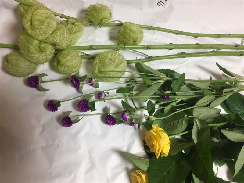 本日の自由花の花材