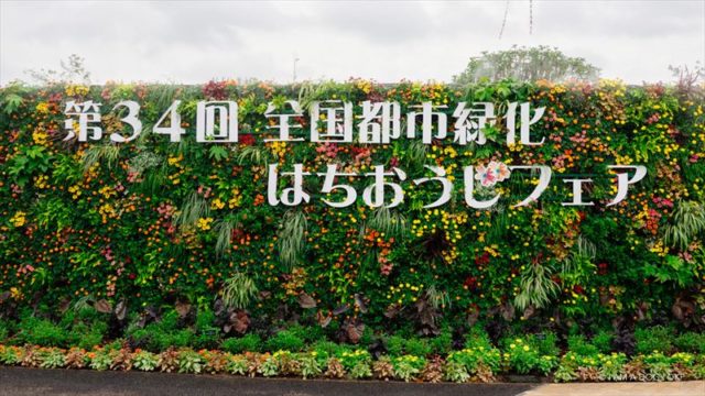 エントランスの壁面緑化