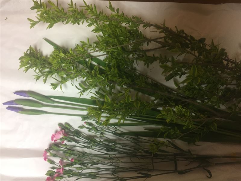 5月の研究会の自由花の花材、菖蒲、ナデシコ、いぼた