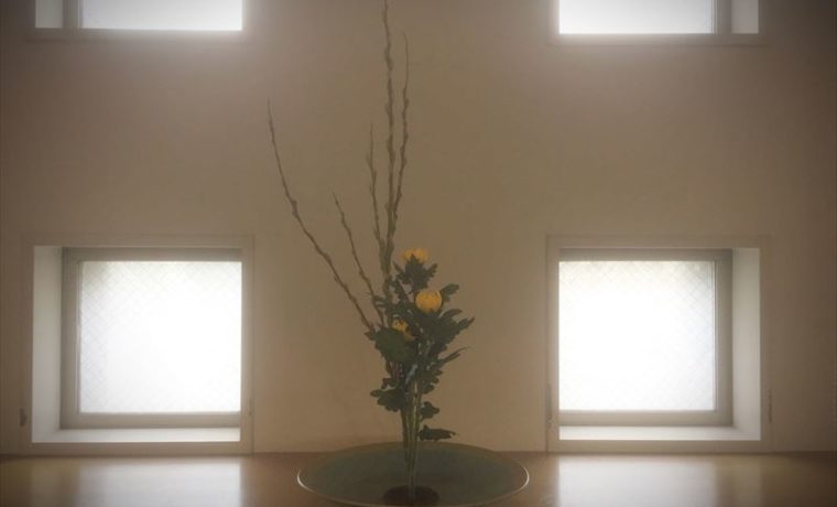 池坊の生花の基本であるアカメヤナギと菊の生花