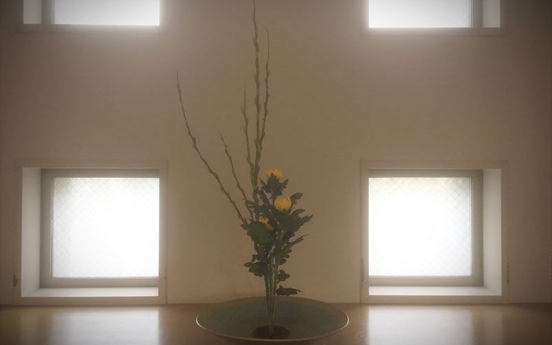 池坊の生花の基本であるアカメヤナギと菊の生花