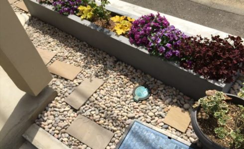 完成から半年後の川崎市多摩区の庭