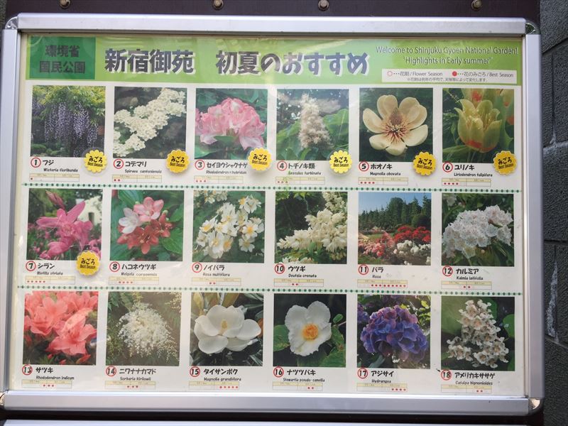 どこの庭園でも開示している季節のオススメの植物の看板