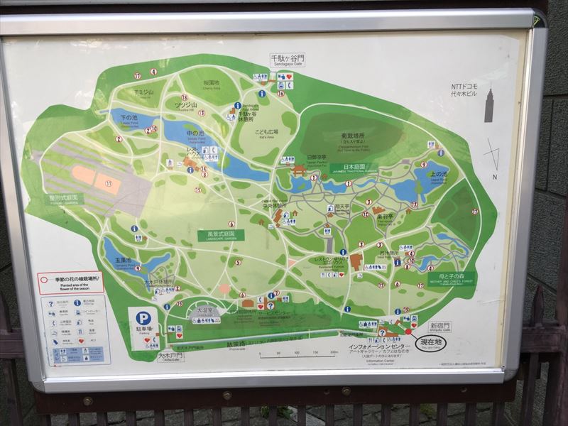 初めての新宿御苑では園内地図を確認しておくべし