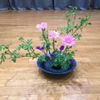 生け花の根源である池坊の東京支部研究会でいけた季節の花のガーベラとスターチス