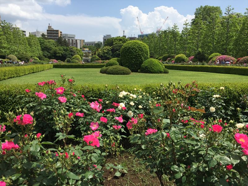 一番奥側にあるフランス式の整形式庭園にあるバラ花壇