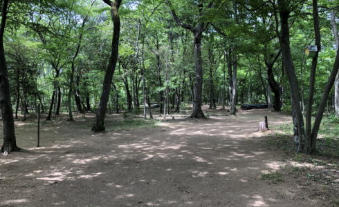 埼玉県所沢市の里山の天然ナチュラルガーデンで庭づくり