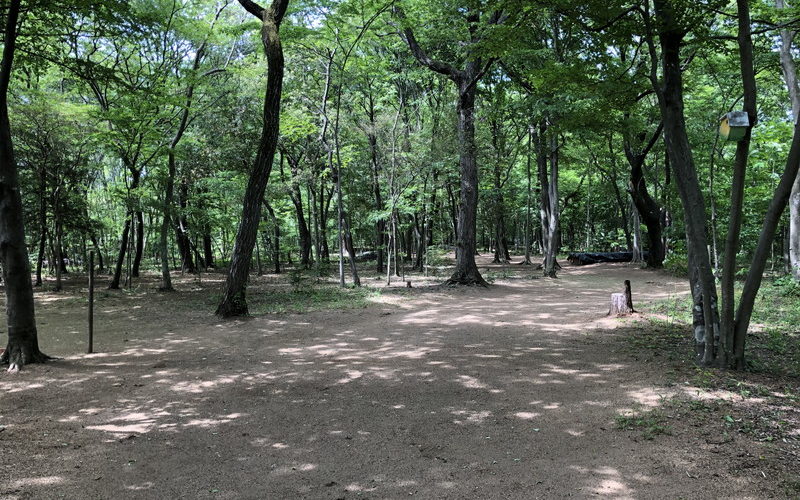 埼玉県所沢市の里山の天然ナチュラルガーデンで庭づくり