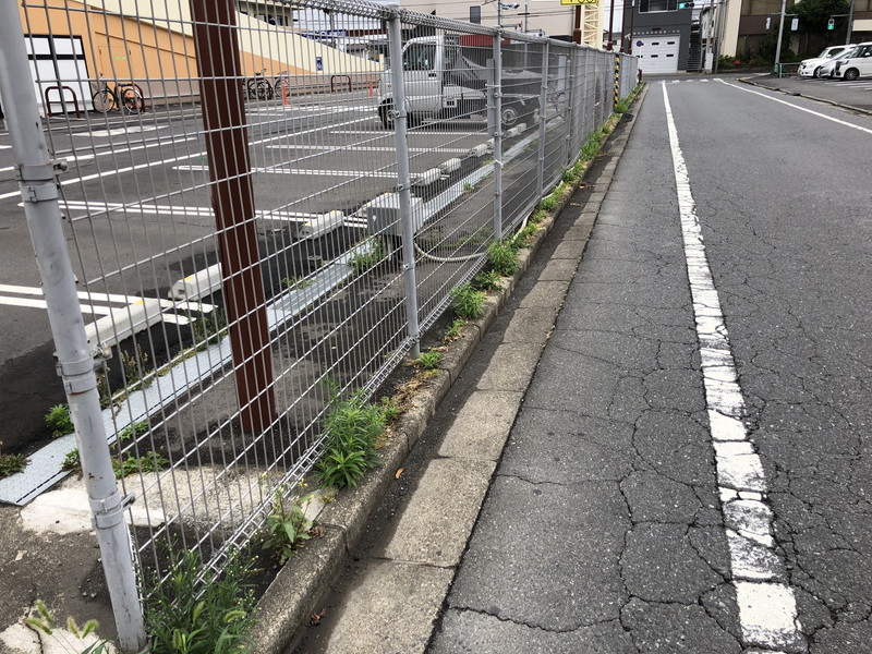 駐車場フェンスの下のコンクリートの隙間からはびこる雑草