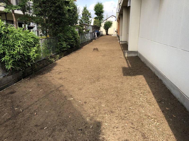 一年分ため込んだ雑草を刈った後の綺麗な状態の裏通路