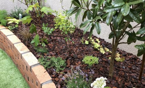 江東区の個人邸で施工したレンガ花壇と人工芝のドックランと植栽