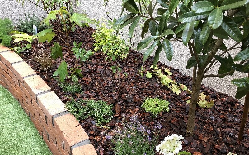 曲線のレンガ花壇 人工芝と植物のドックラン 江東区の庭づくり