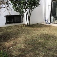 草刈りを終えた横浜市の個人邸