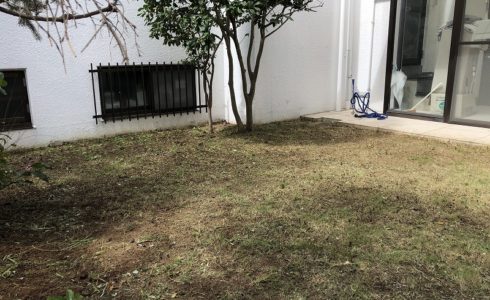 草刈りを終えた横浜市の個人邸