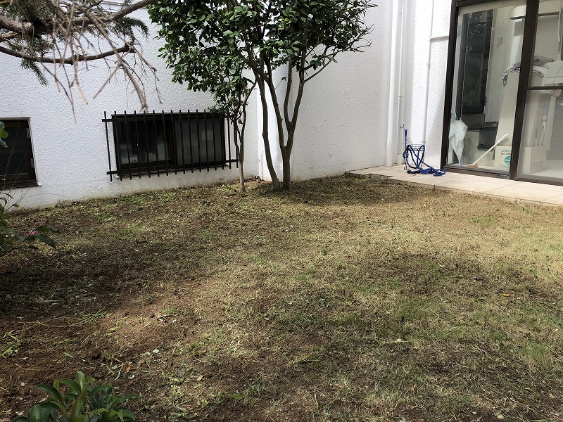草刈りを終えた横浜市の個人邸