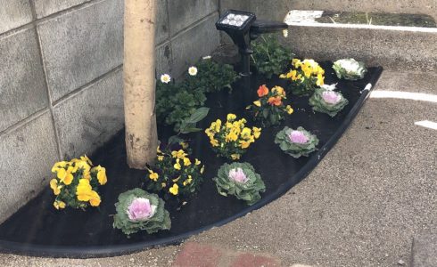 国分寺市で施工が完工した庭づくりの花のプレゼント