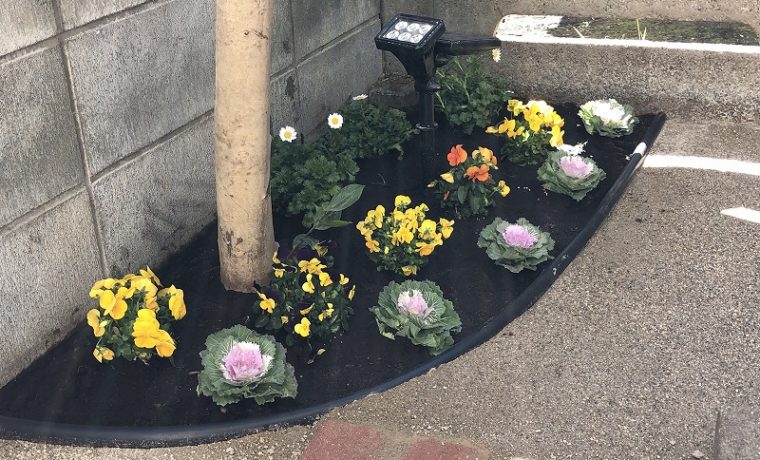 国分寺市で施工が完工した庭づくりの花のプレゼント