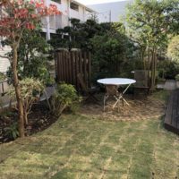 芝生を張り替えた武蔵野市のお庭