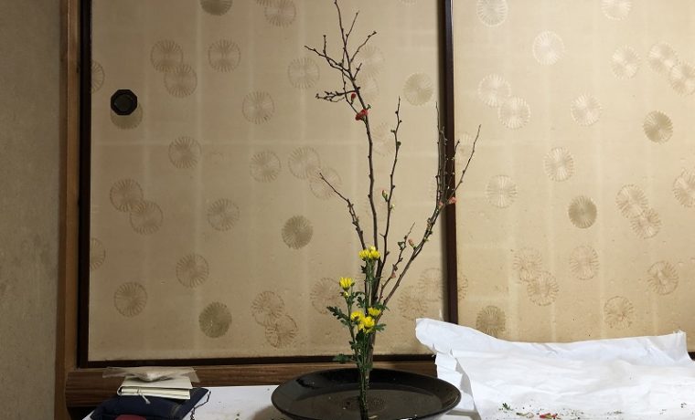 池坊目黒教室でいけたボケと小菊の生花