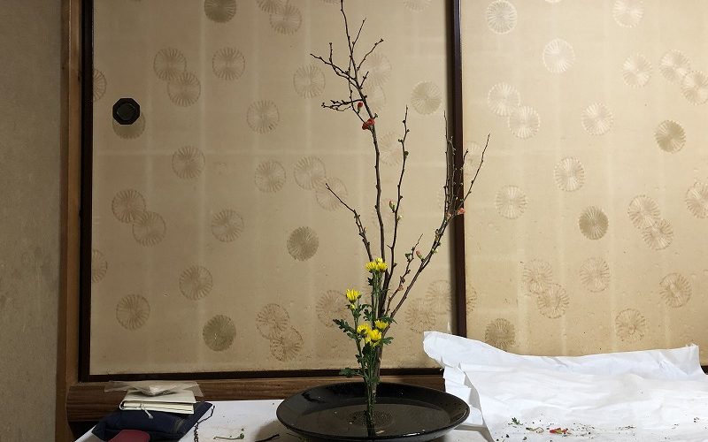 池坊目黒教室でいけたボケと小菊の生花