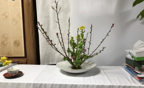造園会社ぐりんぐりん横田がいけた池坊の自由花