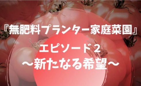 トマトの種が発芽しないので新しい種を蒔くサムネイル