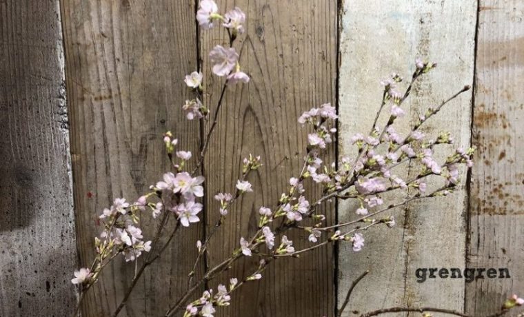 3月の池坊の生花の季節の花の啓翁桜一種生け