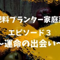 岡本よりたか先生の無肥料プランター家庭菜園