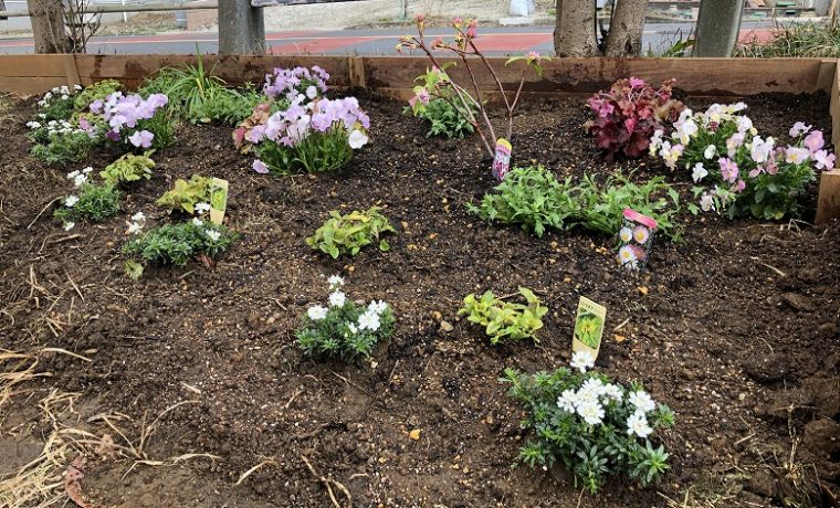 地域の方々が楽しめる植栽空間