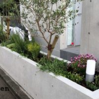 狛江市で行った新築j住宅の春の植栽工事
