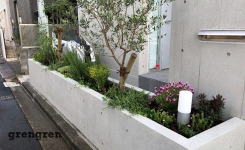 狛江市で行った新築j住宅の春の植栽工事