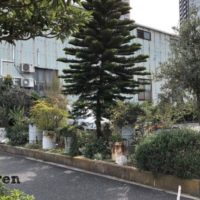 デザイン重視で作られた某会社のウェルカムガーデン