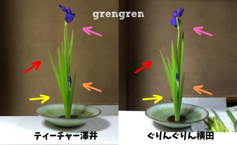 分かる 池坊の生け花 初夏のカキツバタ 生け方の手順とポイント