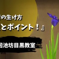 初夏のカキツバタの生け方