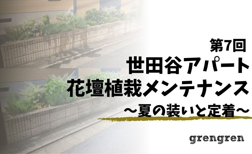 マンション管理 夏の剪定と植物の定着 乾燥に強い植物の真実