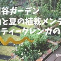 世田谷ガーデンの夏のメンテナンスと植栽