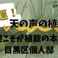 目黒区個人邸の植栽工事