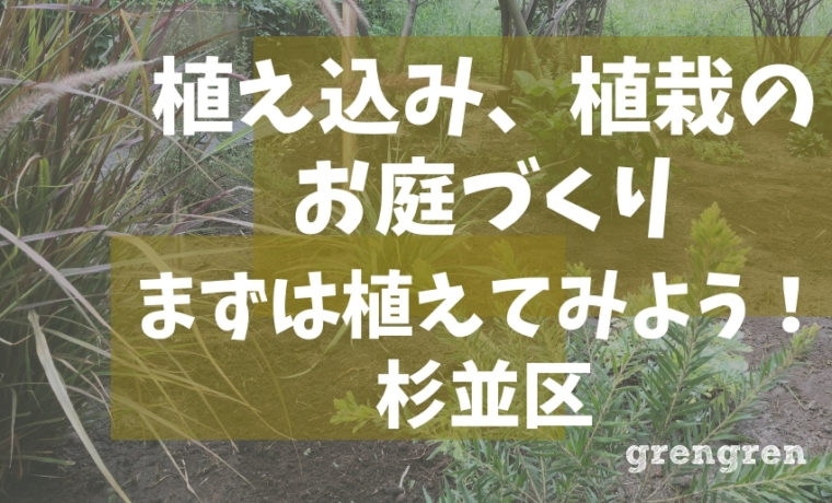 杉並区で行った雑草除去からの植栽お庭づくり