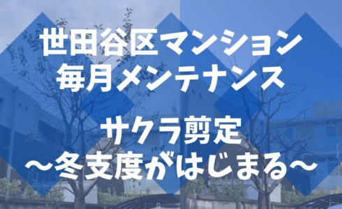 11月は桜の剪定もある世田谷区のマンションで毎月のメンテナンス