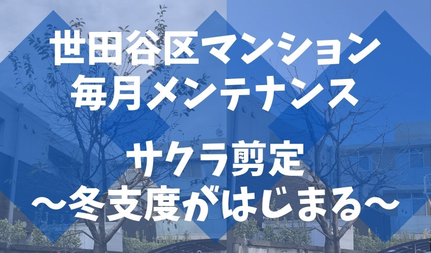 11月は桜の剪定もある世田谷区のマンションで毎月のメンテナンス