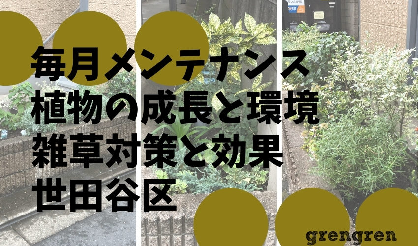 世田谷区のマンションで毎月のメンテナンスで知る植