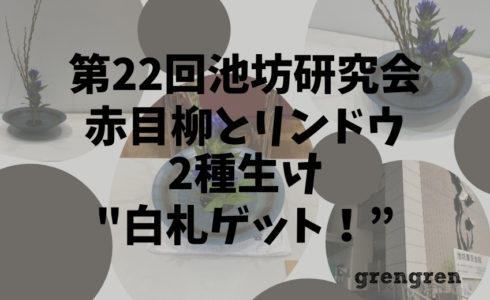 池坊東京支部の研究会で白札ゲット