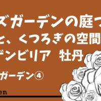 バラや植物の鉢植えカバーをハードウッドでつくる庭づくり