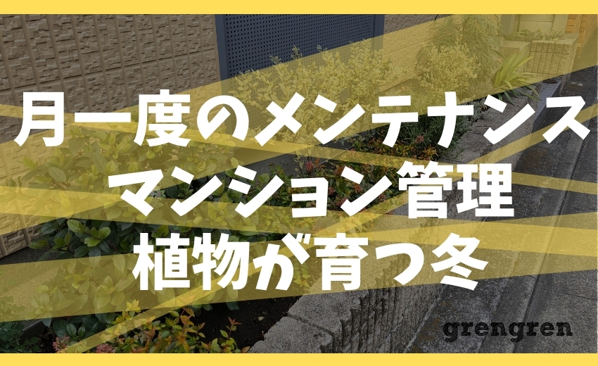 月に一回のメンテナンス マンション管理 植物が育つ冬 世田谷区