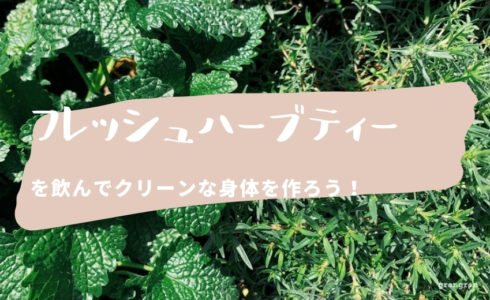 自宅でフレッシュハーブティーを作る