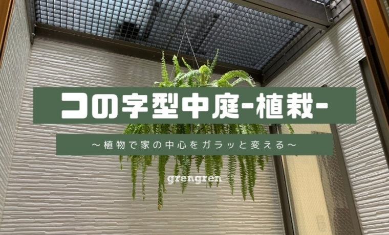 中庭に植物をぶら下げる