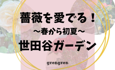 四季咲きのローズガーデンの庭づくり春～初夏