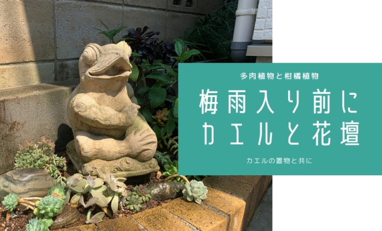 バリのお土産カエルの置物とガーデン